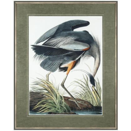 Vintage Blue Heron Framed Art