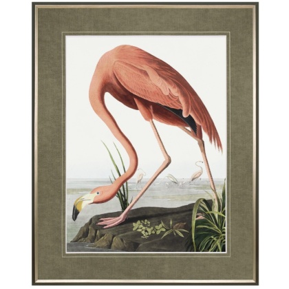 Vintage Flamingo Framed Art