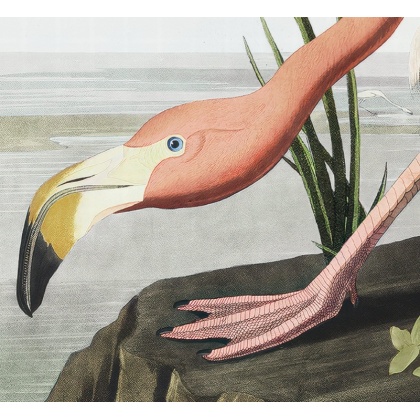 Vintage Flamingo Framed Art