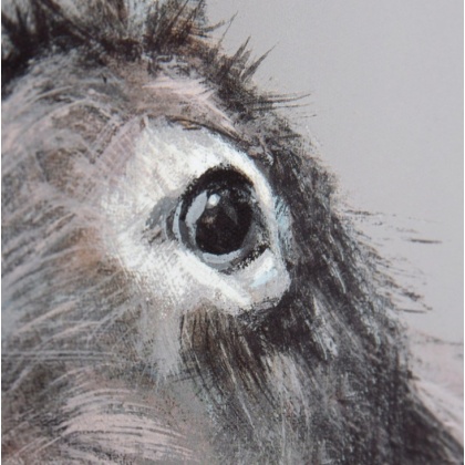 Gallery Direct Reggie Donkey Framed Canvas – Contemporary Animal Wall Art
