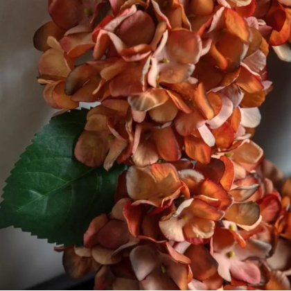 Gallery Rust Hydrangea Wreath Gallery Rust Hydrangea Wreath