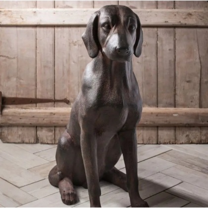Gallery Digby Dog Gallery Digby Dog