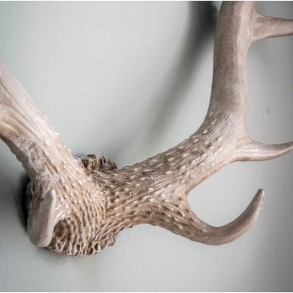 Gallery Bjorn Antler Wall Art Gallery Bjorn Antler Wall Art