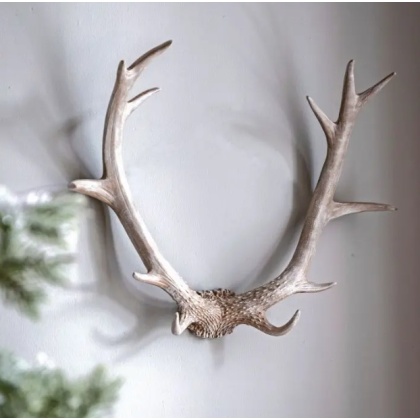 Gallery Bjorn Antler Wall Art Gallery Bjorn Antler Wall Art