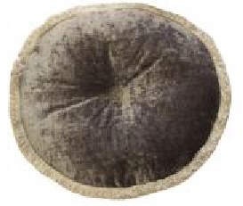 Tetrad Mulberry Circular Pleated Cushion with frilled edge