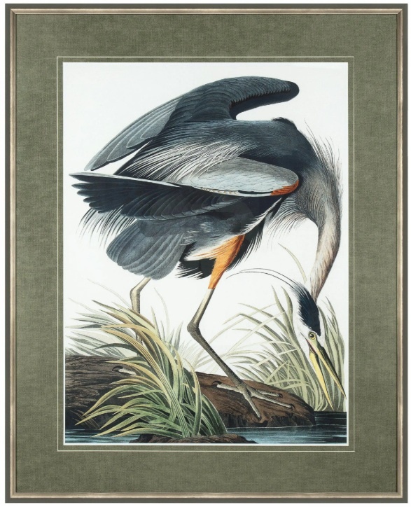Gallery Vintage Blue Heron Framed Art