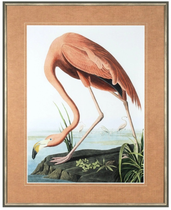 Gallery Vintage Pink Flamingo Framed Art