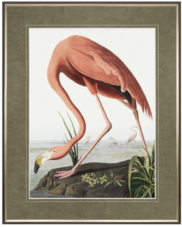 Gallery Vintage Flamingo Framed Art