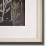 Gallery The Foragers Framed Art