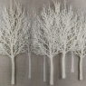Gallery Wonder Woods Framed Art