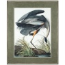 Vintage Blue Heron Framed Art