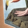 Gallery Vintage Pink Flamingo Framed Art