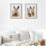 Hadley hare framed wall art styled above bed neutral interior decor