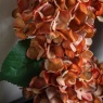 Gallery Direct Gallery Rust Hydrangea Wreath