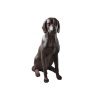 Gallery Direct Gallery Digby Dog