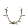 Gallery Direct Gallery Bjorn Antler Wall Art