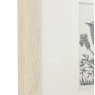 Gallery Direct Rural Studies Framed Art Set of 2