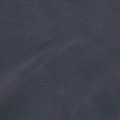 Blue Atlantic Hide