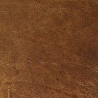 Brompton Tan Hide