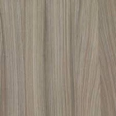 Driftwood