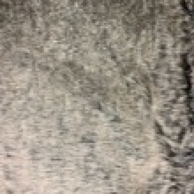 Fur Wolf