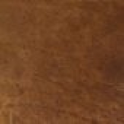 Brompton Tan Hide