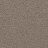 G8Q Ekos Taupe