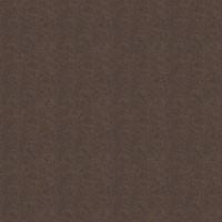 Austin Taupe