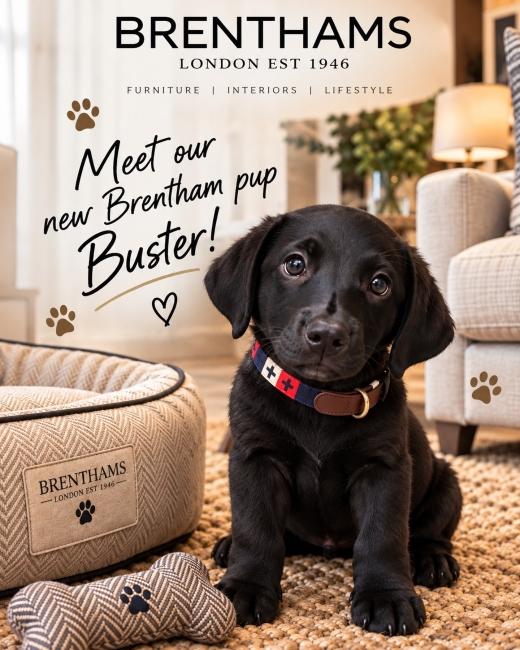 🐾 Meet Buster! 🐾 Keep an... 